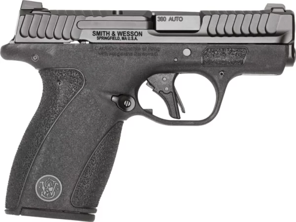 PISTOL 380 ACP BG2.0 12RD NTS