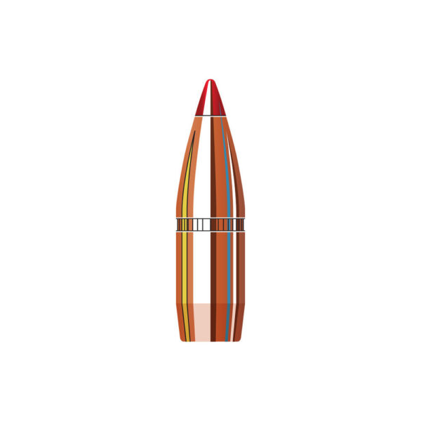 BULLET TIPS 270 CAL VMAX 110GR