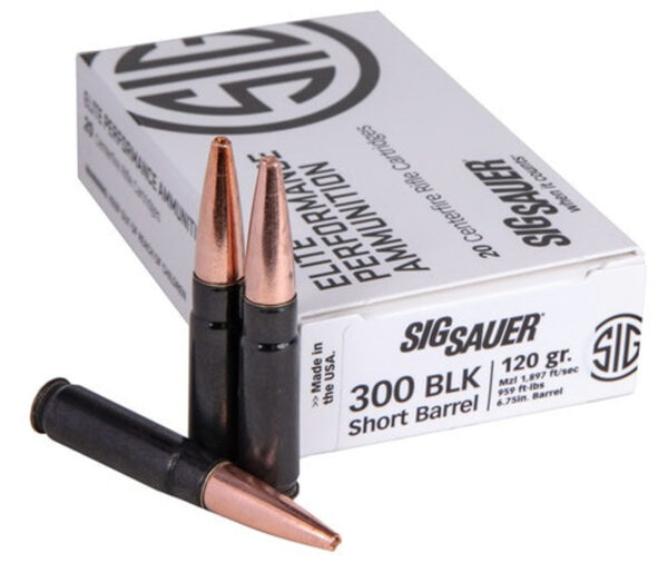 AMM0 RIFLE 300 BLACKOUT 150GR DS