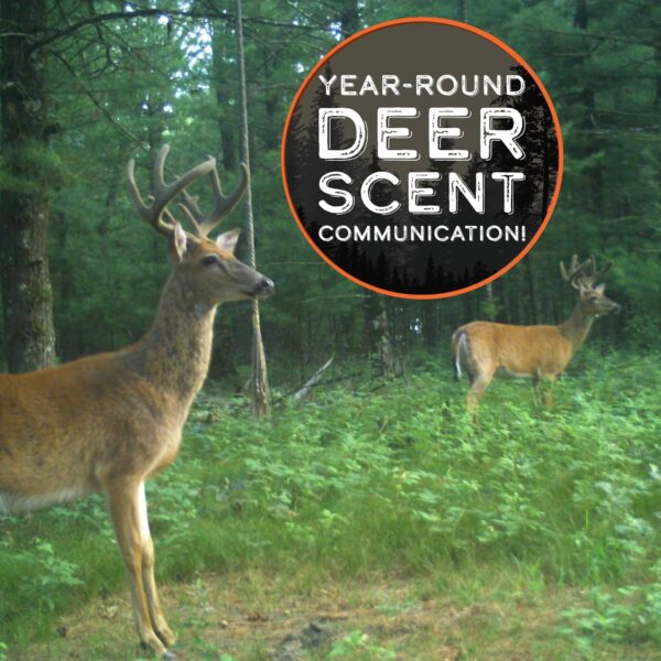 ROPE HEMP SYNTHETIC BUCK SCRAPE - Image 4