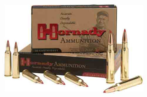 AMMO RIFLE 30-06 180GR SST