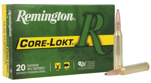 AMMO RIFLE 25-06 REM 120GR PSP