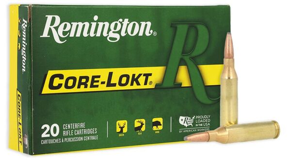 AMMO RIFLE .243 100 GR PSP