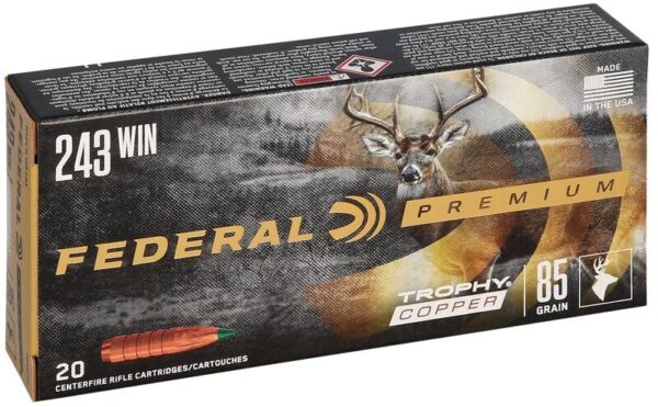 AMMO RIFLE 243 WIN 85GR COPPER IMP - Image 2