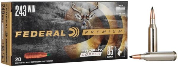 AMMO RIFLE 243 WIN 85GR COPPER IMP