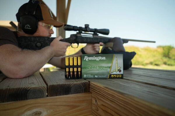 AMMO RIFLE 243 95GR TIPPED CORE LOK - Image 5