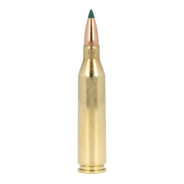 AMMO RIFLE 243 95GR TIPPED CORE LOK - Image 2