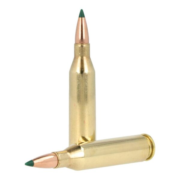 AMMO RIFLE 243 95GR TIPPED CORE LOK - Image 3