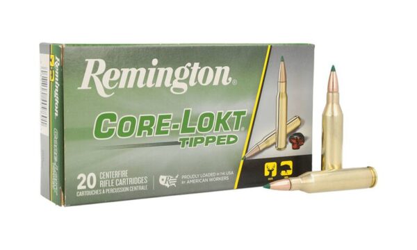 AMMO RIFLE 243 95GR TIPPED CORE LOK