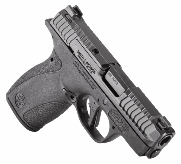 PISTOL BODYGUARD S&W 380 AUTO C/TRC